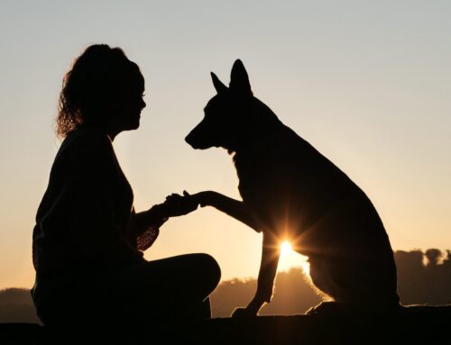 Waar ordening geen macht is